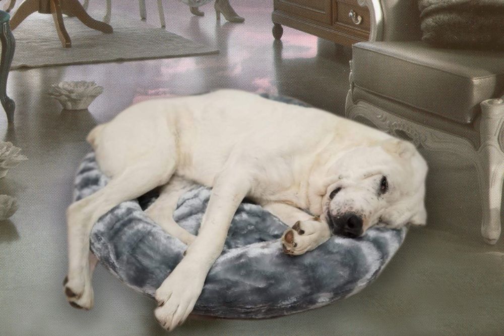 Лёжка ,подушка, матрас, лежанка, место отдыха кота, собаки.