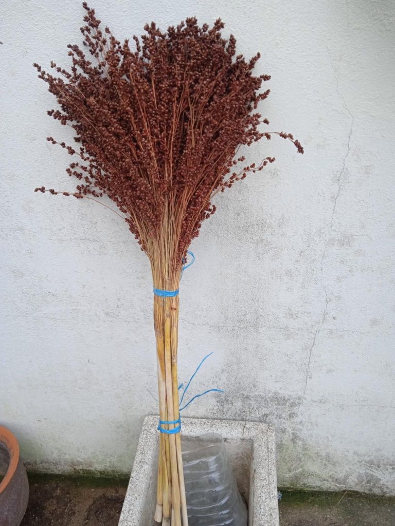Vendo flores naturais para fazer arranjos