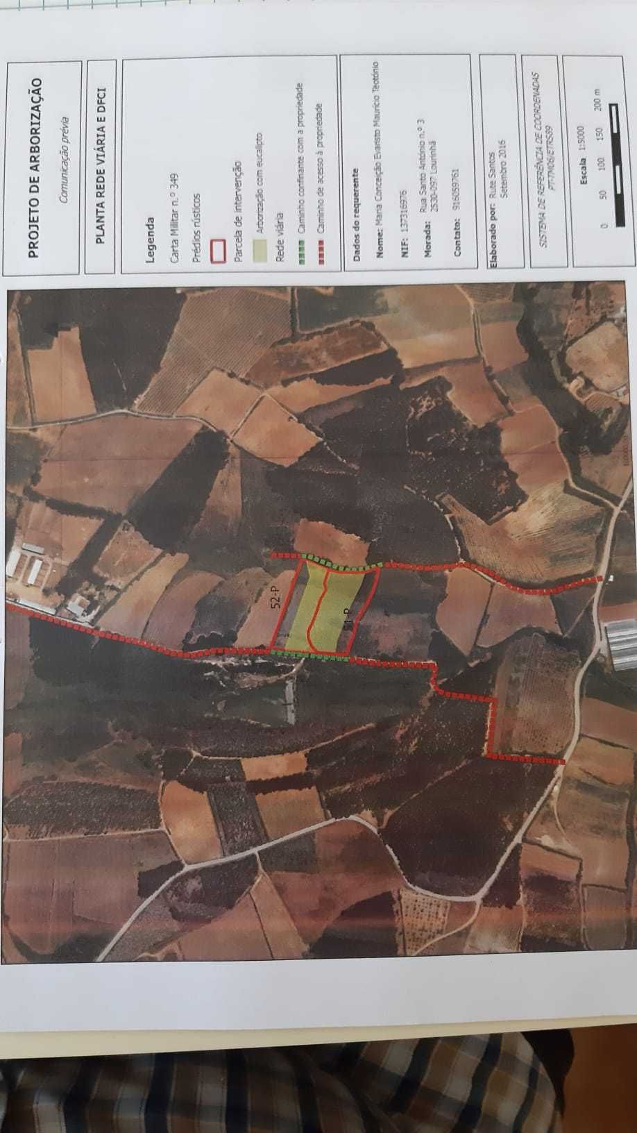 Terreno 15.000m2 e eucaliptos plantados em 2016