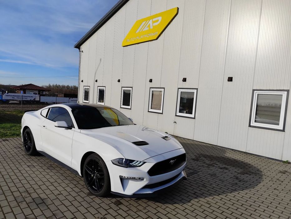 Ford Mustang Mustang ! FV 23 ! Piękny ! PL ! Alu 19