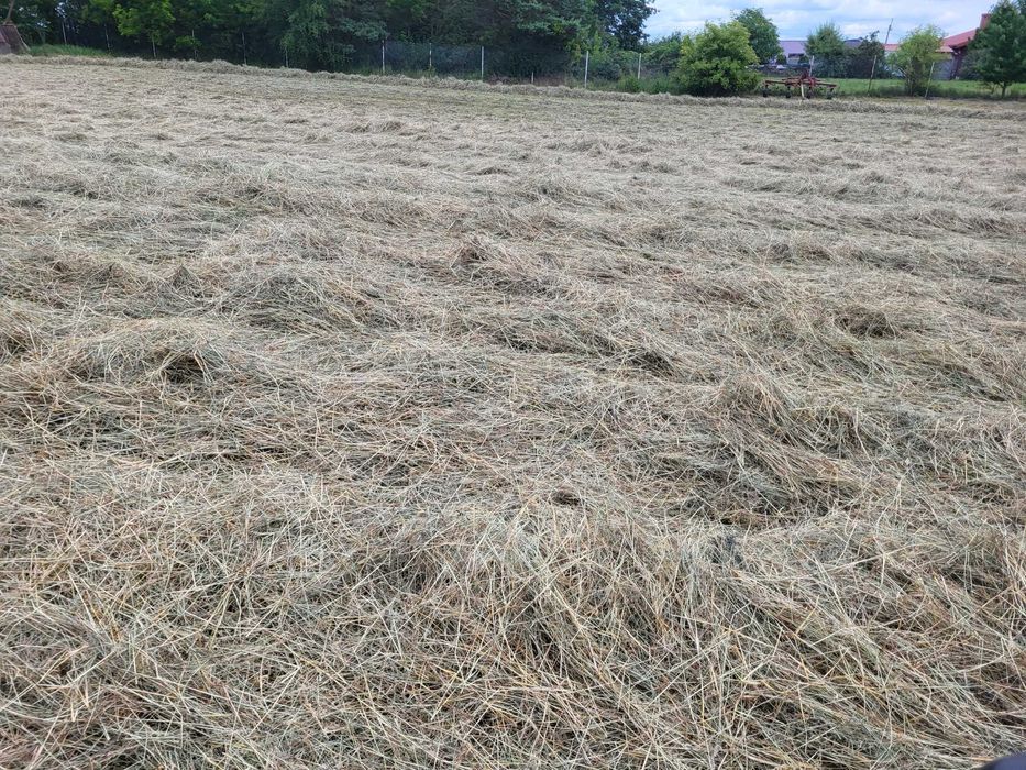 Siano mala kostka 2025 TRANSPORT