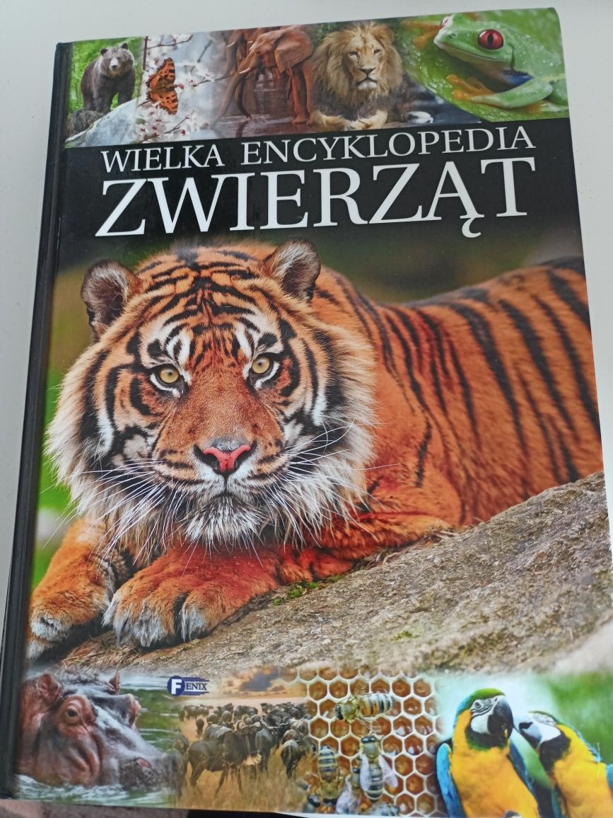 książka encyklopedia