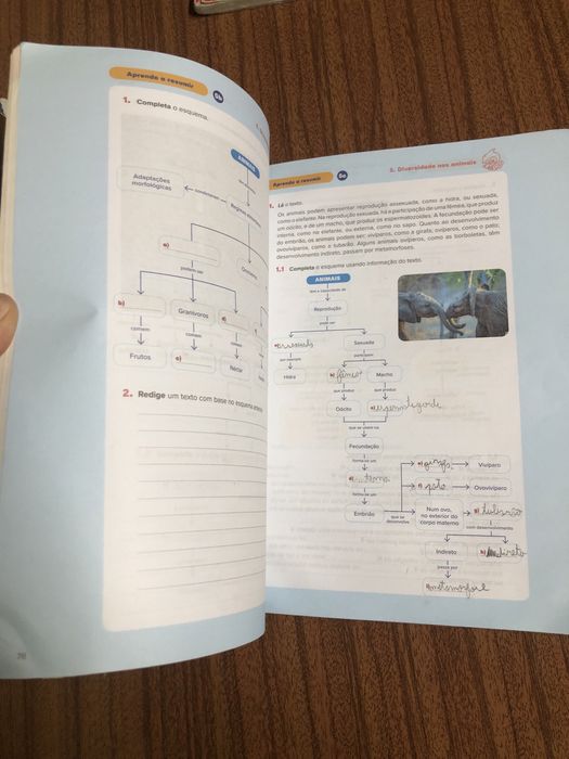 Caderno atividades/ livro fichas ciencias 5 ano
