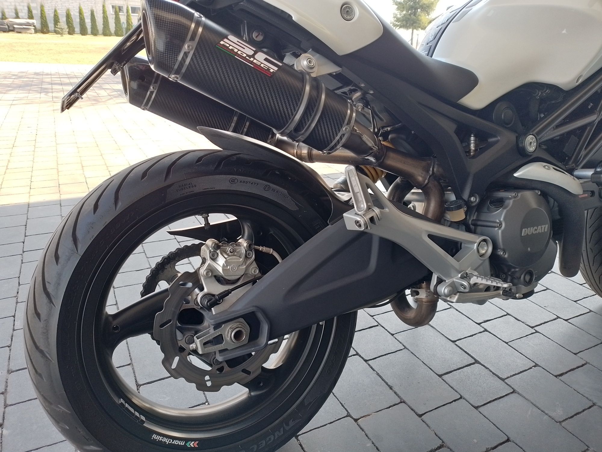 Ducati Monster 696 Sc-project idealny