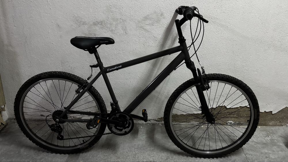 Bicicleta Esmaltina