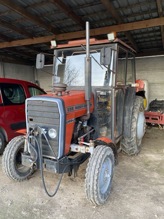 Ciągnik Ursus 255 Massey Ferguson I wł od nowosci !