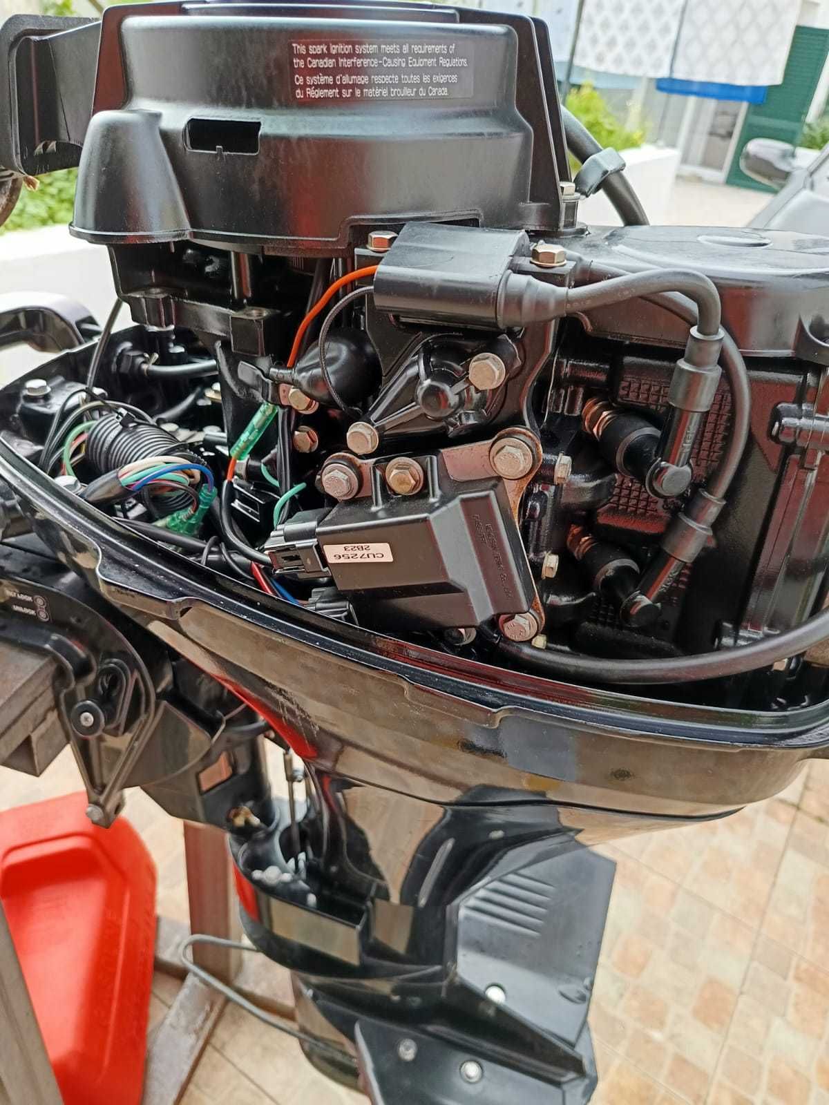 Motor Mercury 9.9