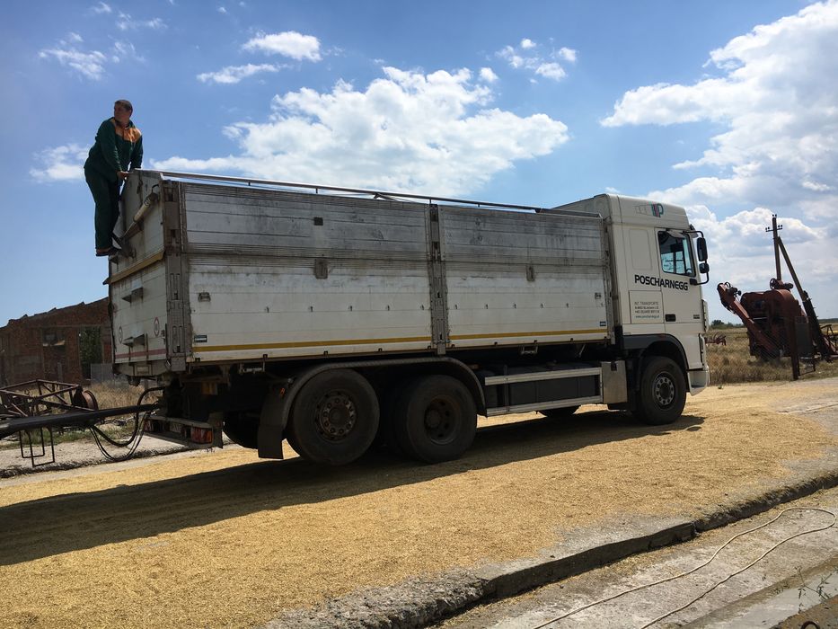 DAF Самоскид XF 95