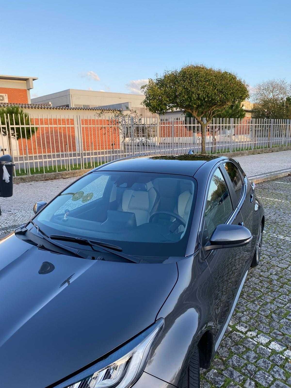 Yaris Luxory hybrid