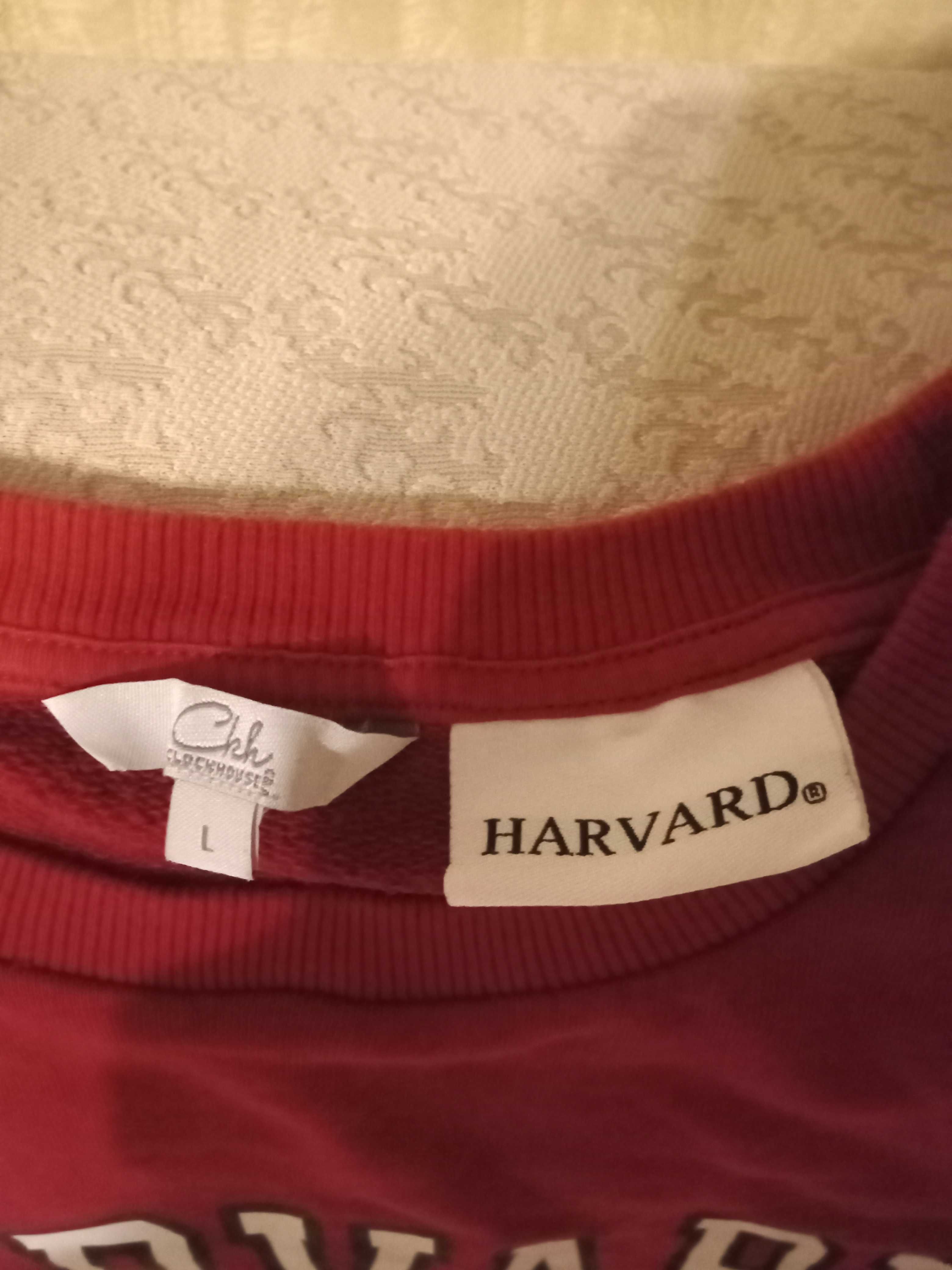 Bluza Harvard clockhouse C&A L