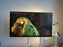Monitor Dell S2721DS, 1440p