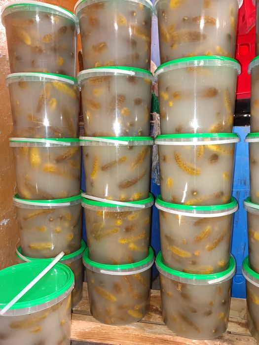 Ogórki kiszone naturalnie