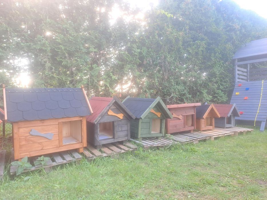 Budy dla  Twojego pupila duży wybór. Zapraszamy