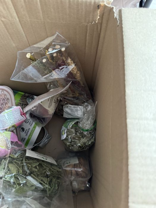 Klatka dla królika miniaturki świnki kawii Ferplast - Zestaw