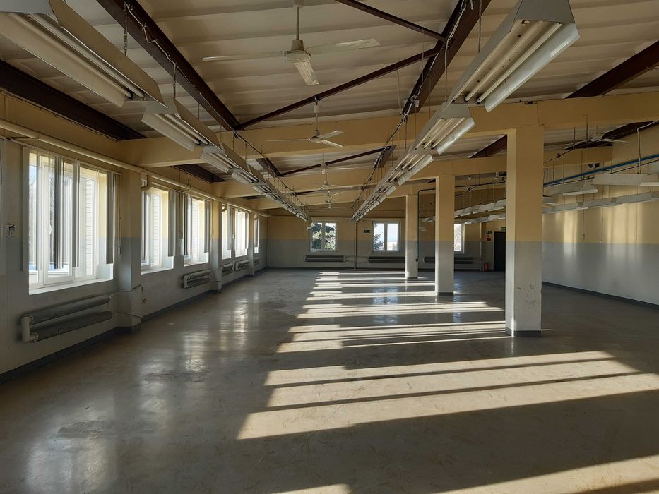 426m2 lokal prod. - mag. Konstantynów Łódzki