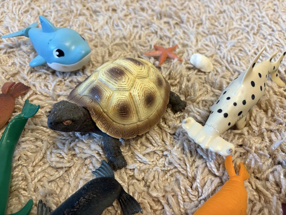 Колекція тварин: сафарі, дикі, морські, птахи