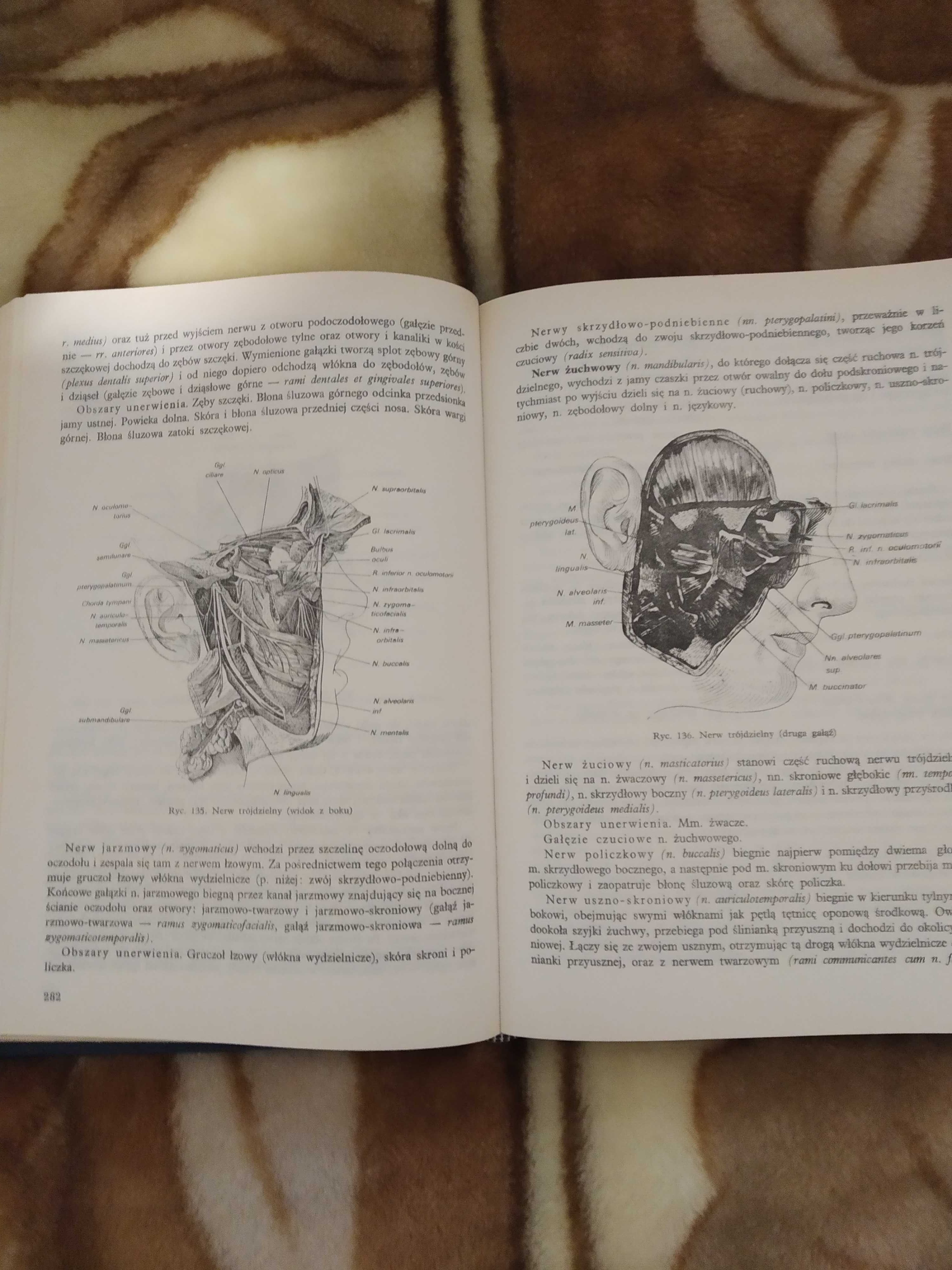 Zarys anatomii człowieka A. Krechowiecki F. Czerwiński