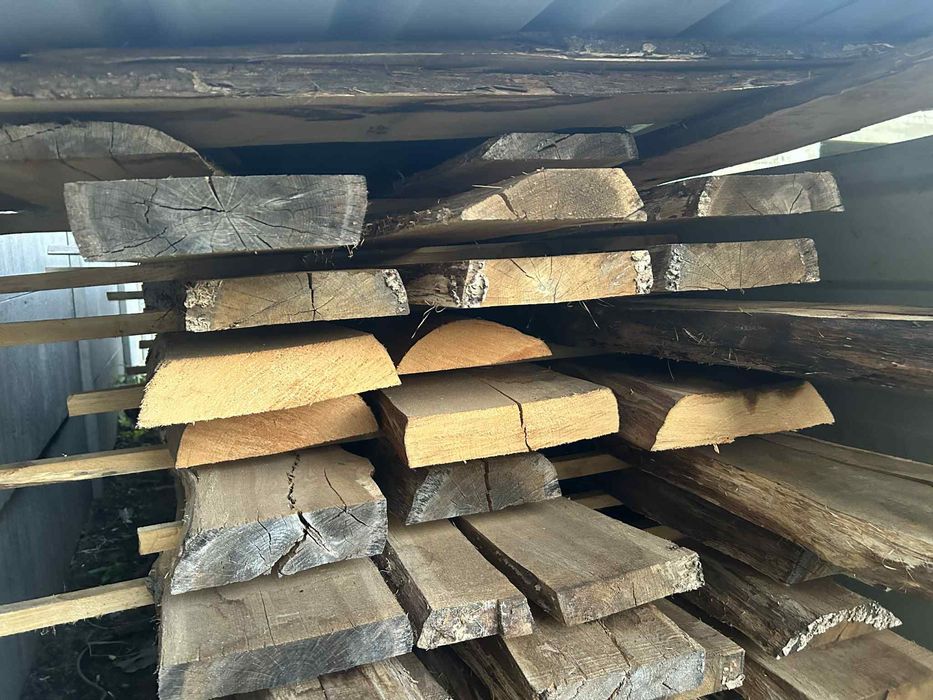 Bale dębowe 2 letnie ponad 4m