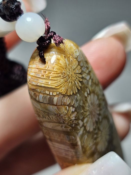 Koral kopalny naturalny.