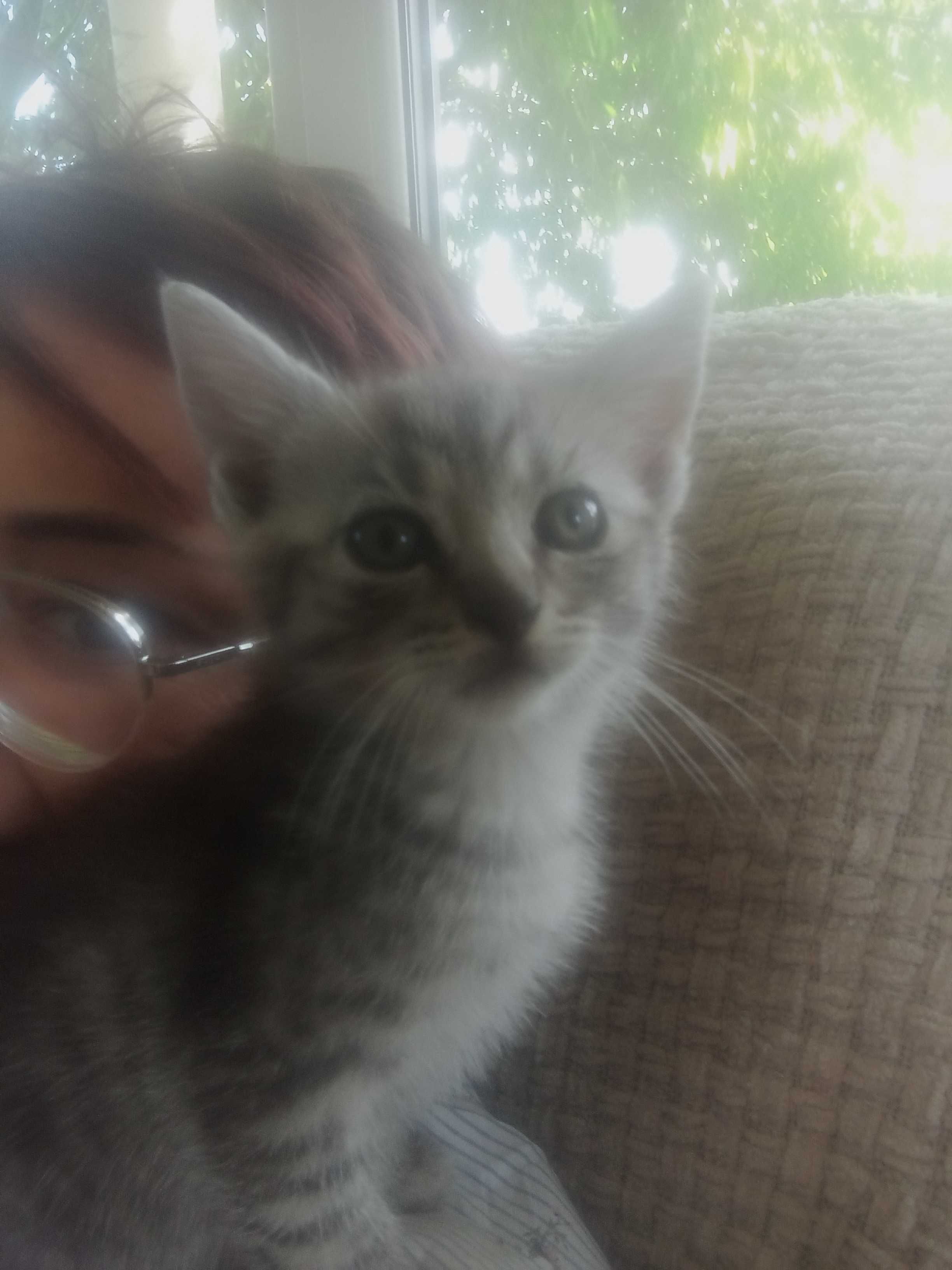 Puszyste maluchy