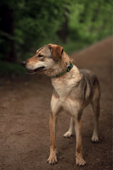 Кнопа ищет семью