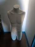 Busto meio corpo