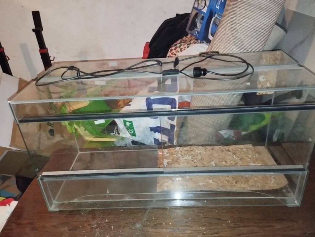 Terrarium używane