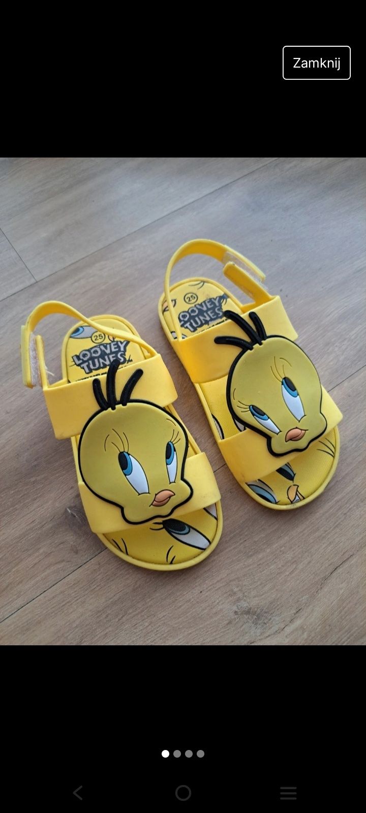 Sandały gumowe dla dziewczynki 25 Looney Tunes