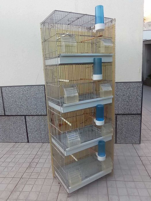 LOTE 4 gaiolas 1.20x0.40x0.25