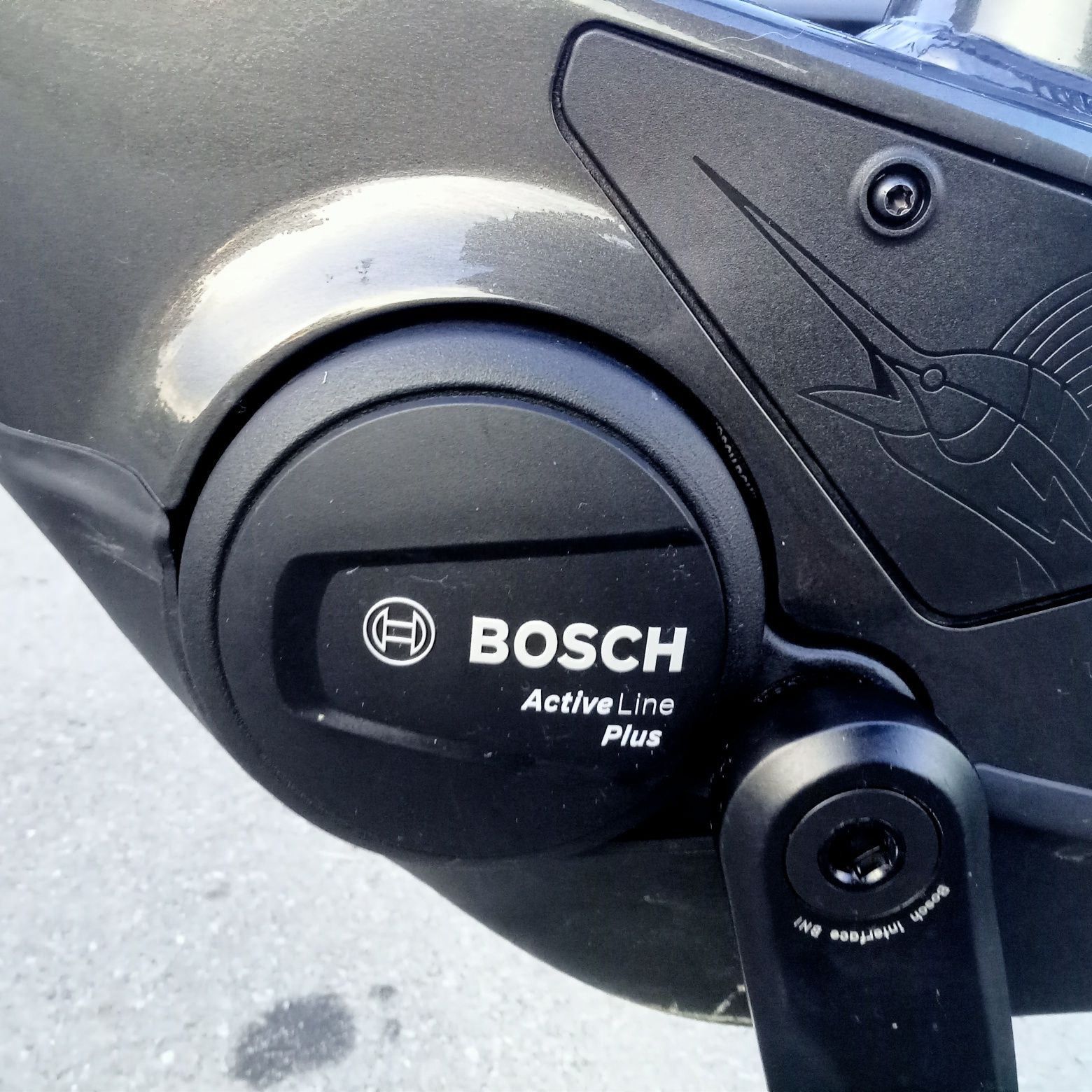Rower elektryczny Trek Merlin 6 Bosch  Active Line Plus Merlin