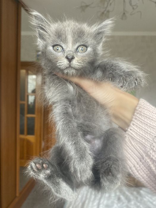 Радость в дом к деткам