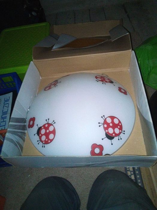 Plafon i kinkiet z biedronką.