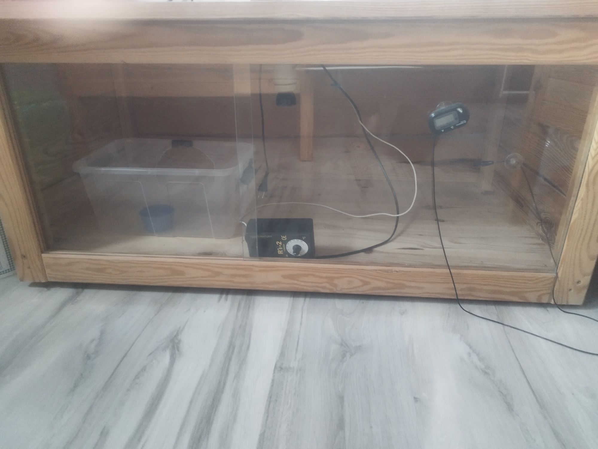 Terrarium jeża pigmejskiego