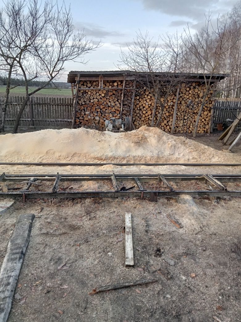 Troty z pod traka taśmowego