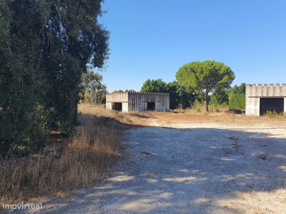Lote de Terreno Urbano - Pegões