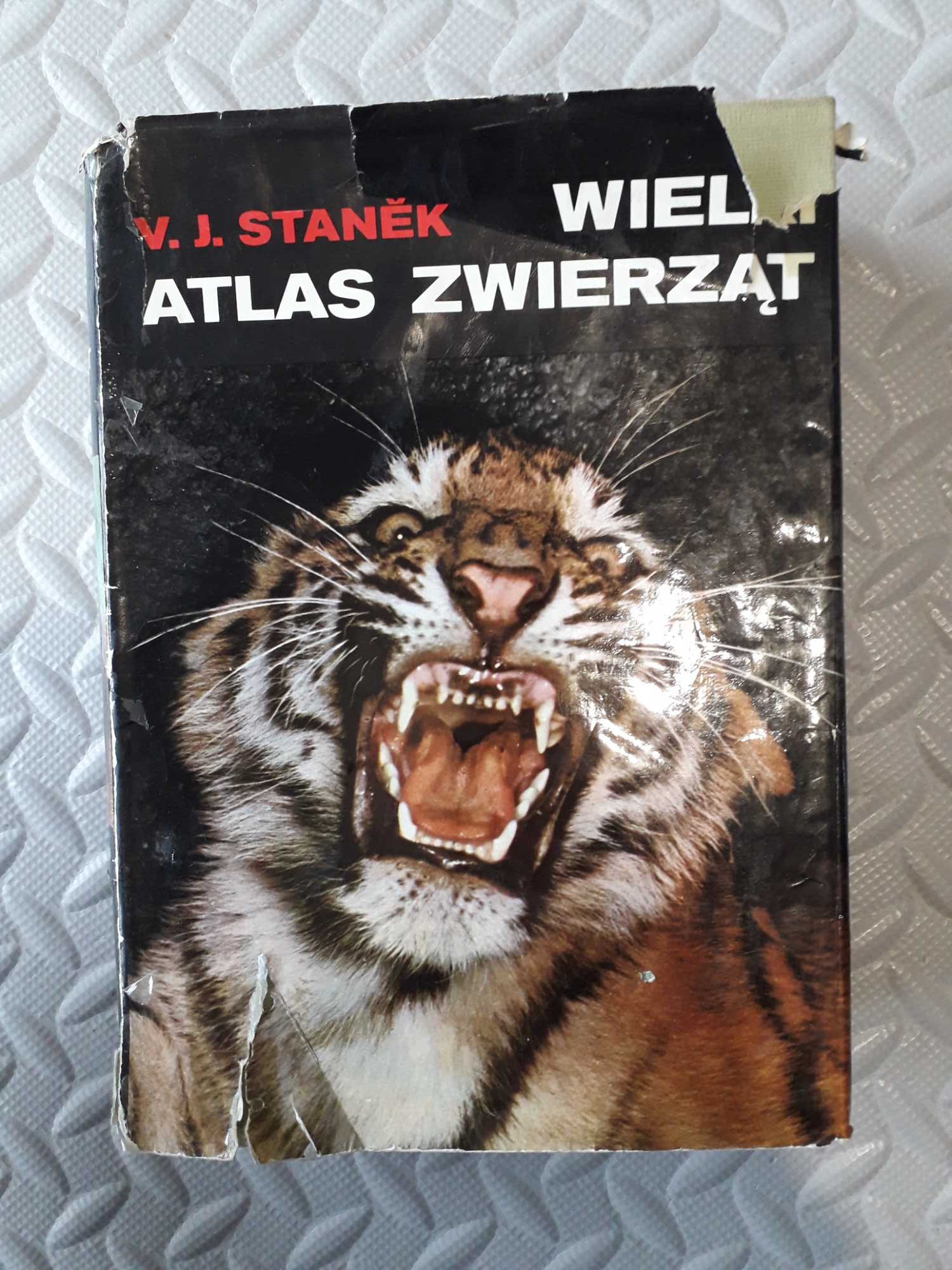 Atlas zwierząt wielki wydanie 4