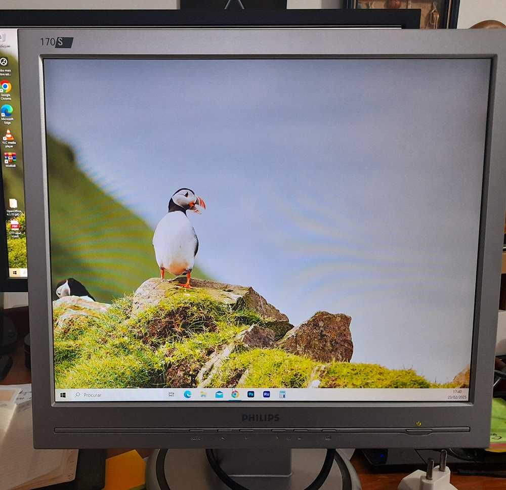 Monitor Philips LCD 170S