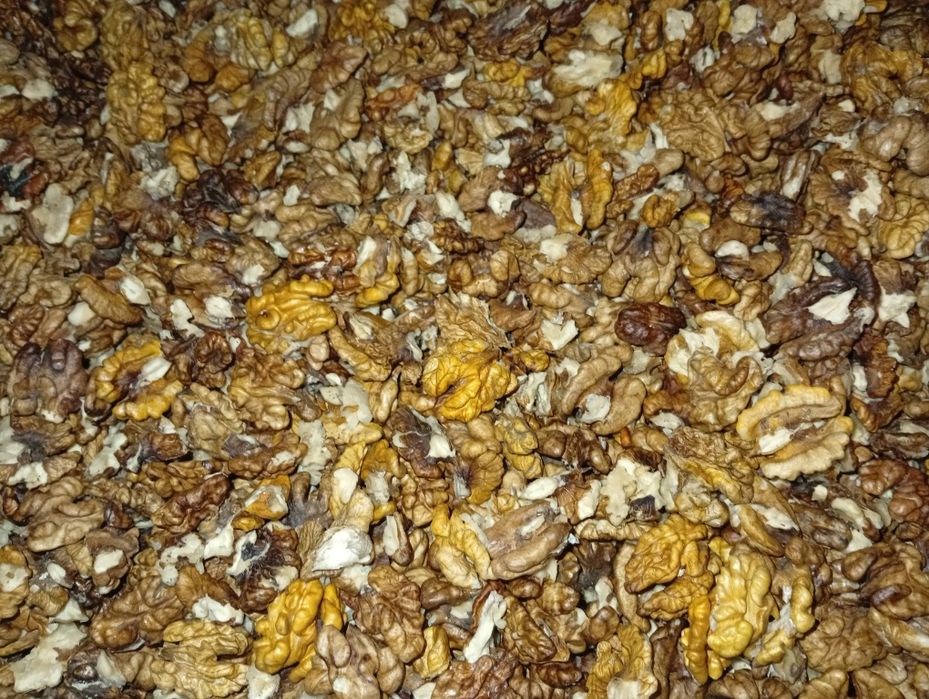 Горіх бабочка ,четверть з кусочком світла, кондитерка   орех 2025 рі