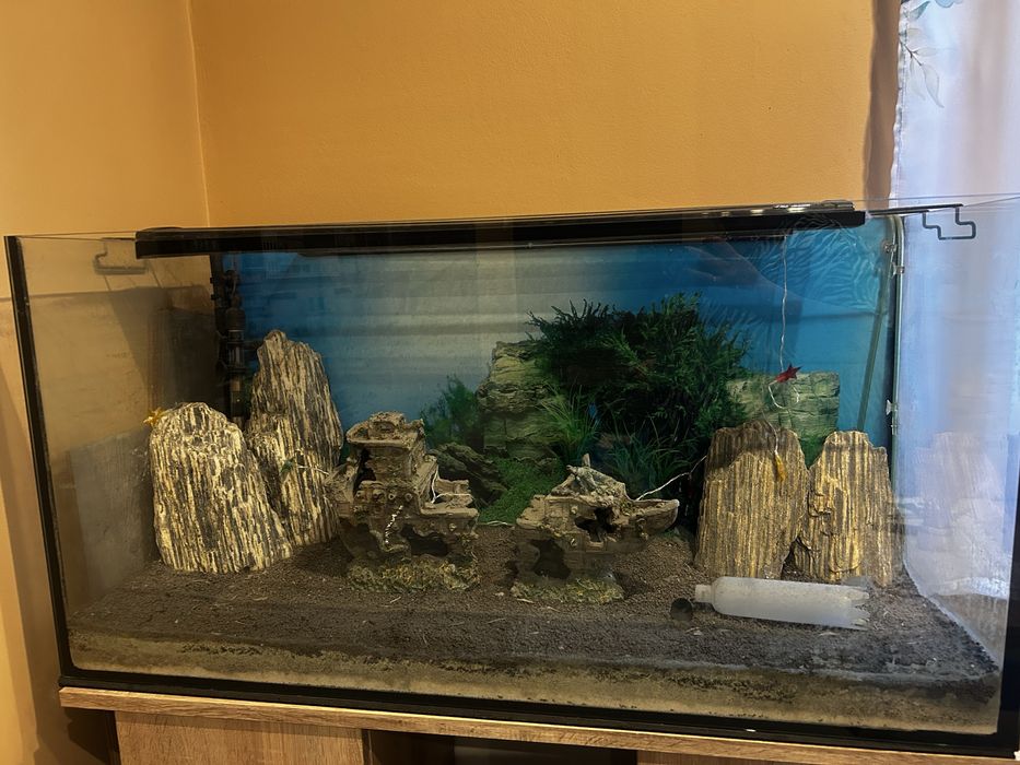 Akwarium dla rybek