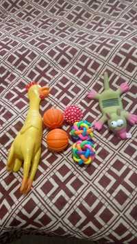 Іграшки для тварин
