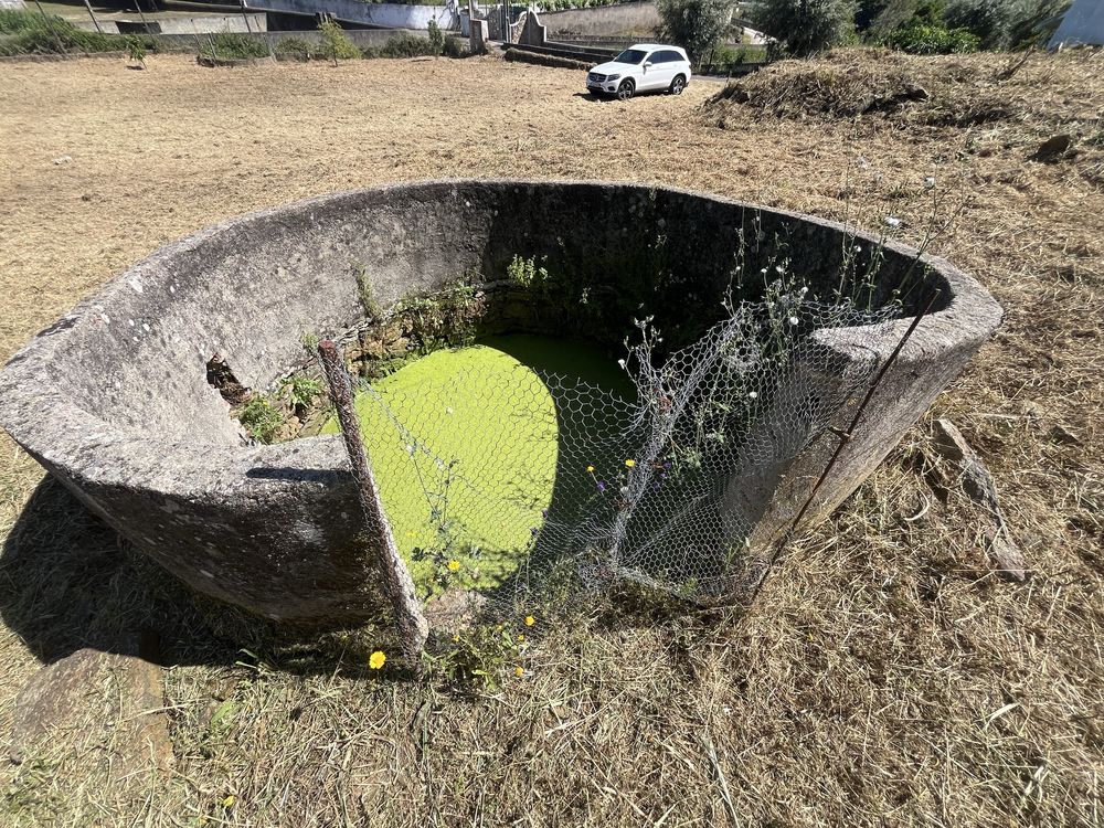 Vendo pequena quinta com ruina no centro de Mouriscas Abrantes