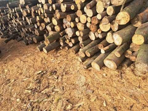 Promocja drewno kominkowe opałowe suche/ mokre :)