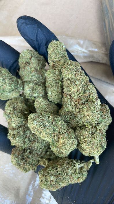 5G Susz konopny CBD ORANGE BUD 35% Producent Szwajcaria