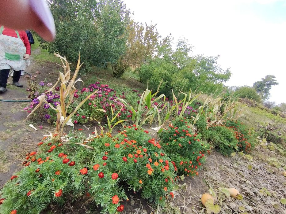 Продается Дом в Безопасном месте недалеко от речки