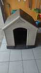 Casota para cão-porte médio