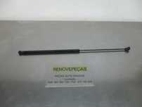 Amortecedor / Amortecedores Capot Volkswagen Golf V (1K1)