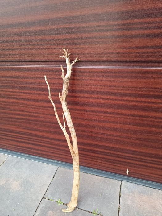 Prosty, długi naturalny korzeń do akwarium