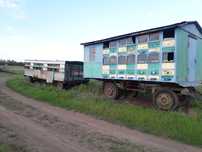 Продам комплектну пасіку.