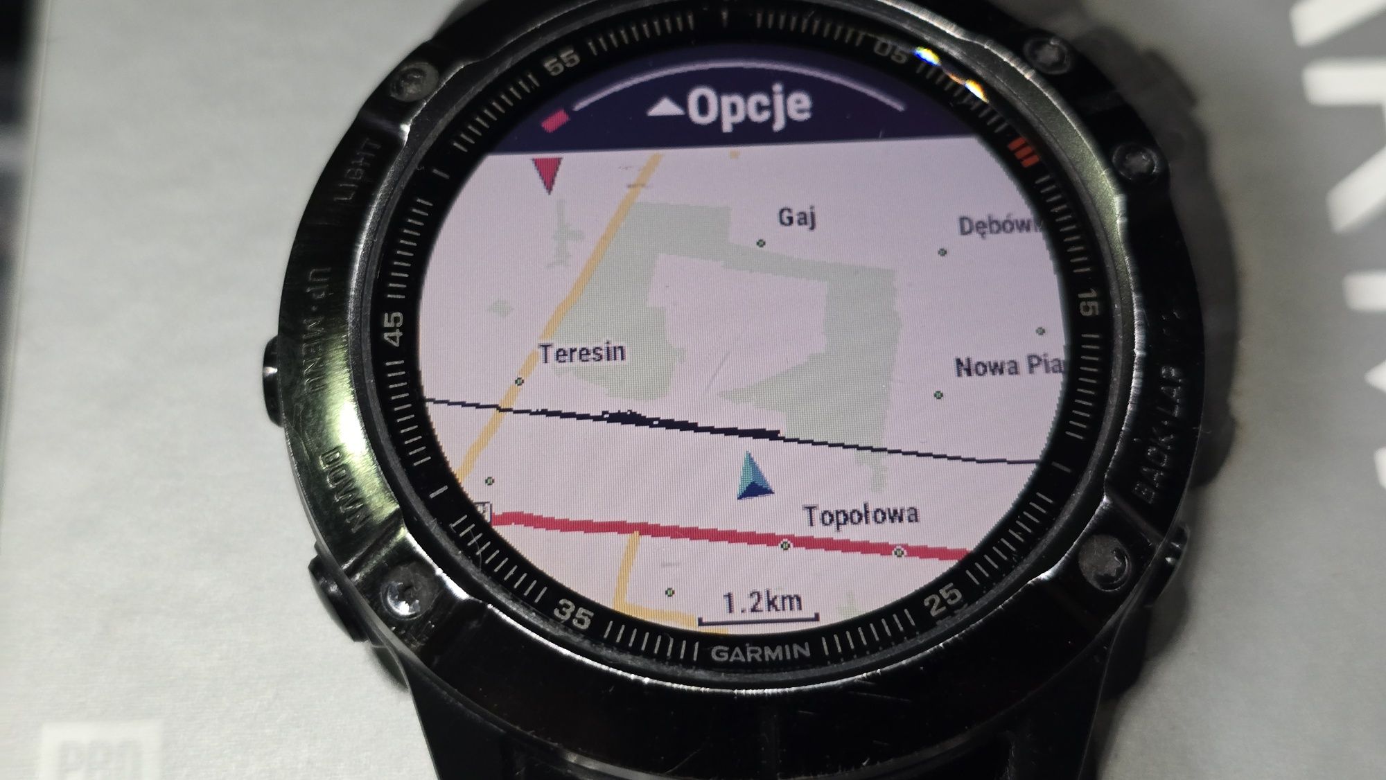 Garmin fenix 6X pro