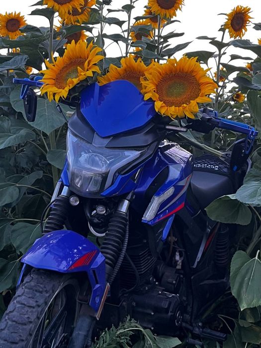 Мустанг фортуна 200